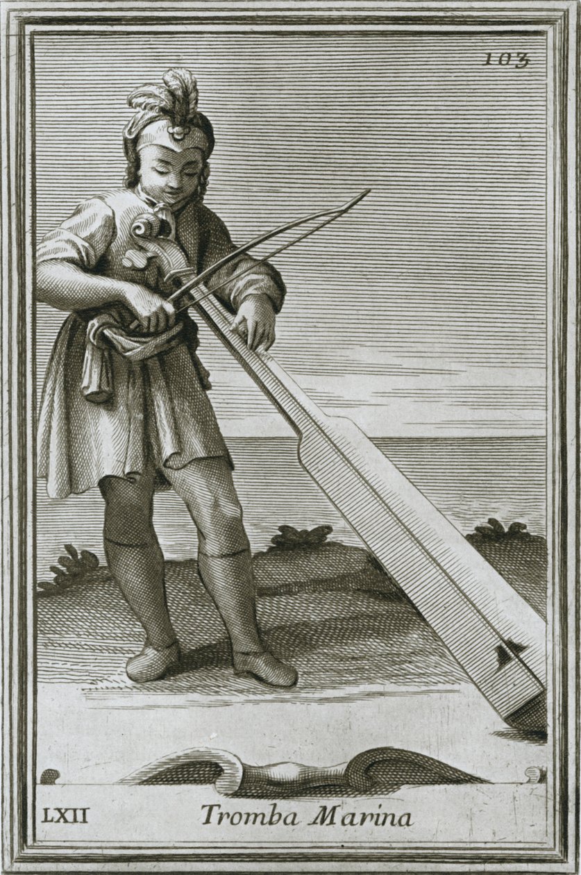Trumscheit tromba marina, incisione dal libro Cabinetto armonico di F. Bonanni, Roma, 1722 da Unbekannt