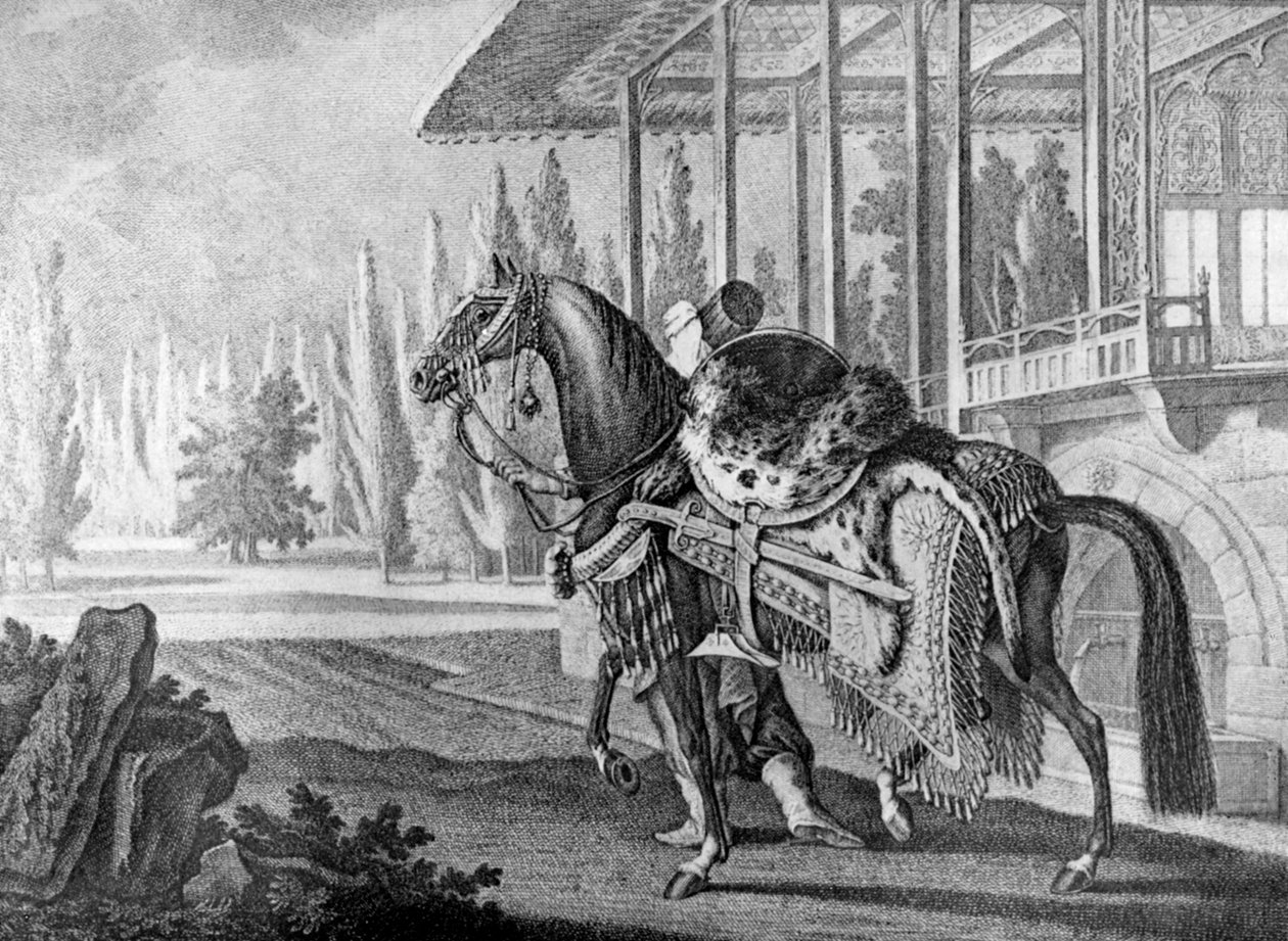 Cavallo arabo del pascià turco, 1722 1938 da Unbekannt