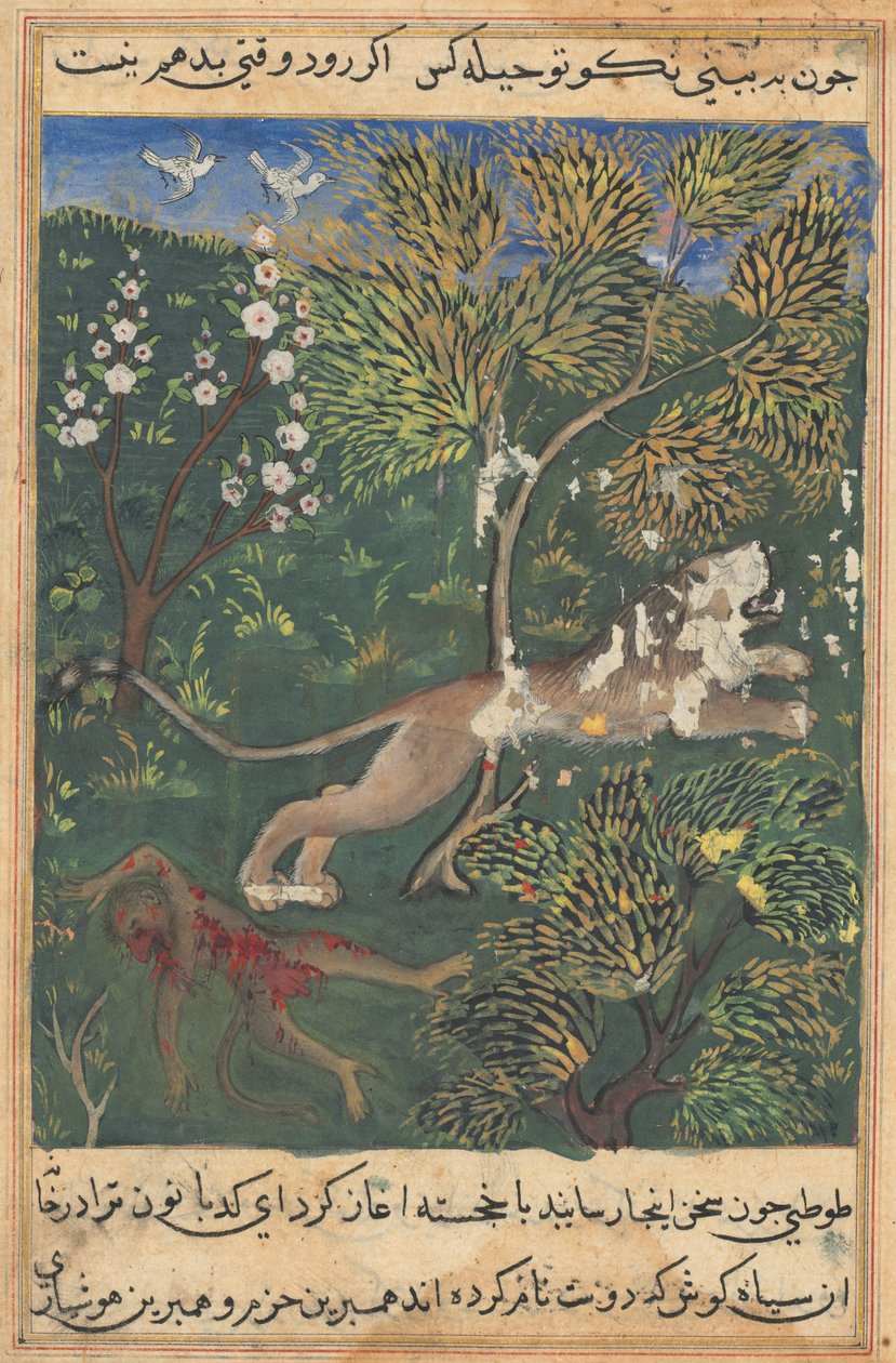 Tuti-Nama Racconti di un pappagallo: Racconto XXIX, c. 1560 da Unbekannt