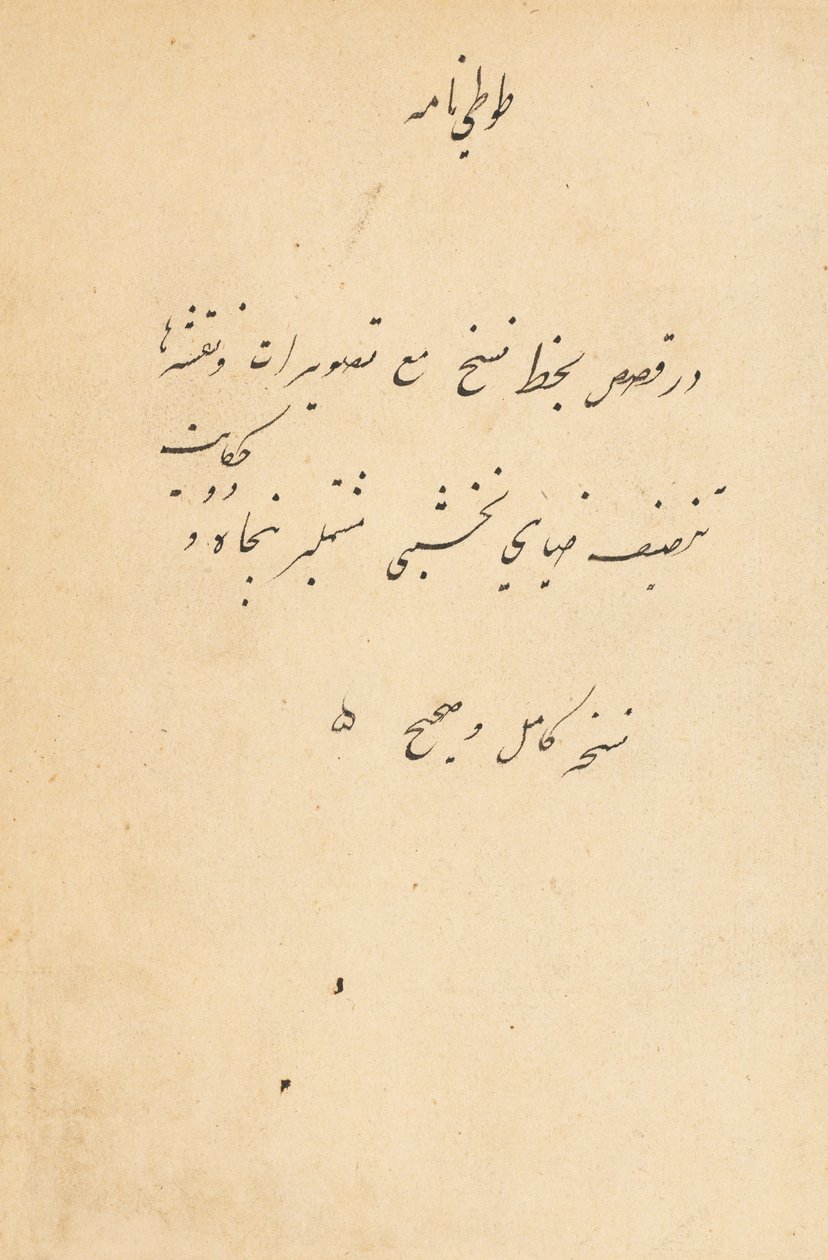 Tuti-Nama, racconti di un pappagallo, c. 1560 da Unbekannt