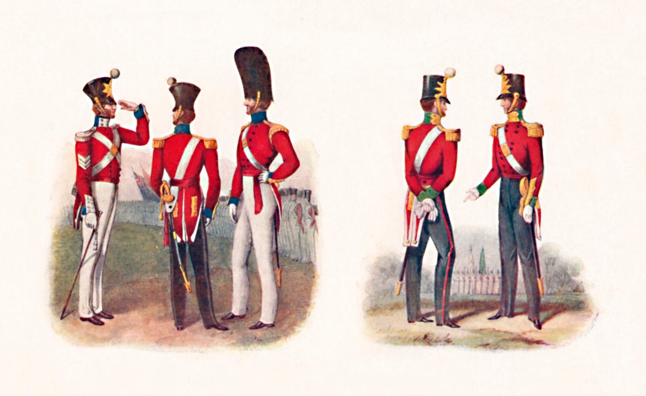Uniformi del 86° Reggimento da Unbekannt
