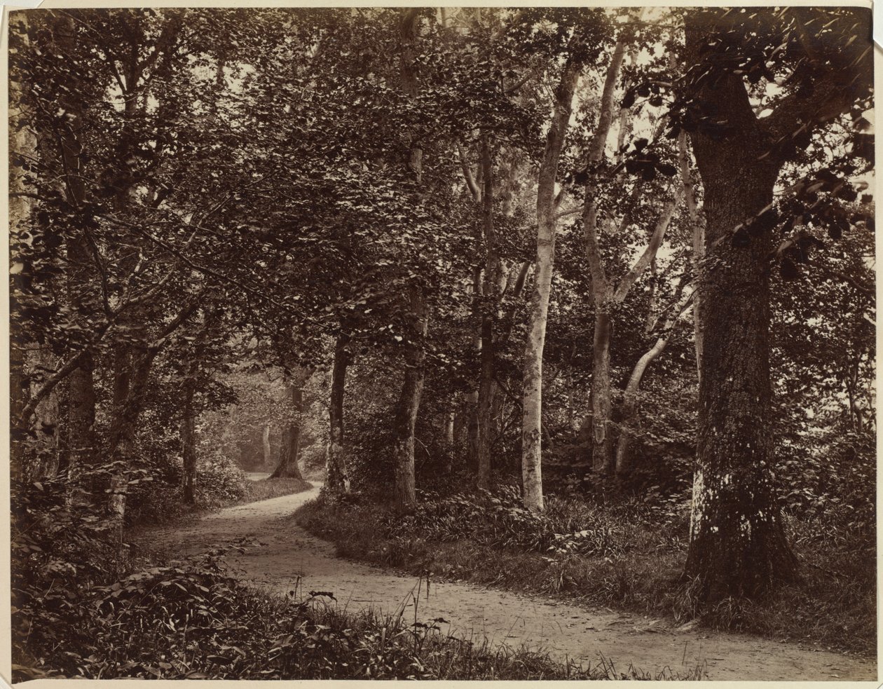 Paesaggio Senza Titolo, primi anni 1860 da Unbekannt