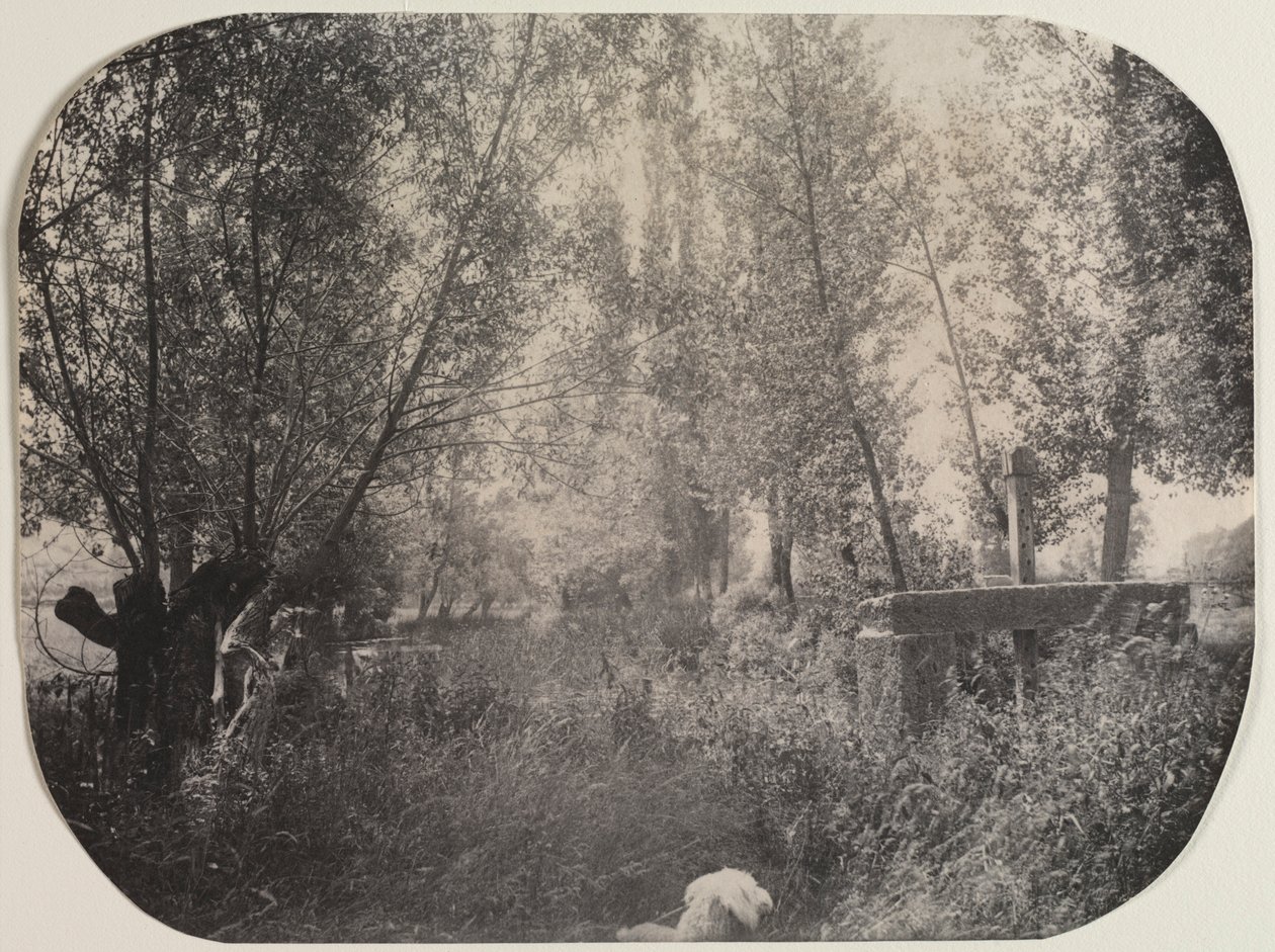 Paesaggio senza titolo con cane, c. 1910 da Unbekannt