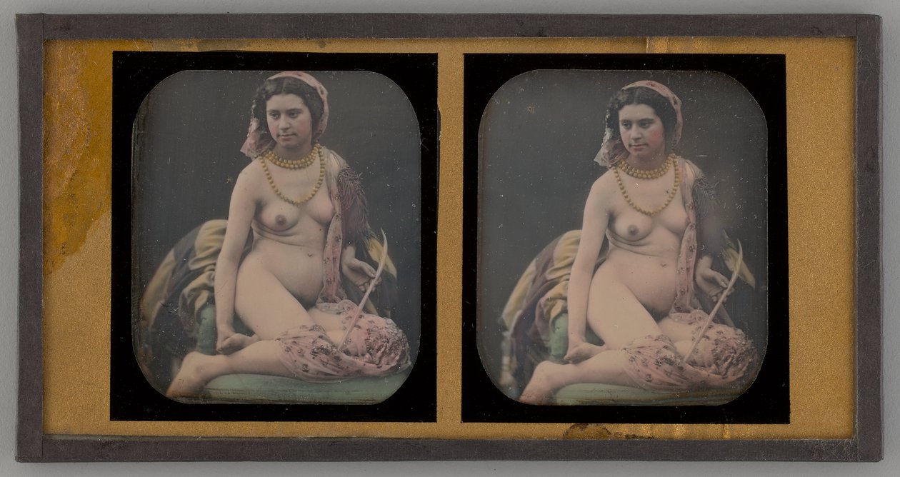 Ritratto di una Donna Nuda da Unbekannt