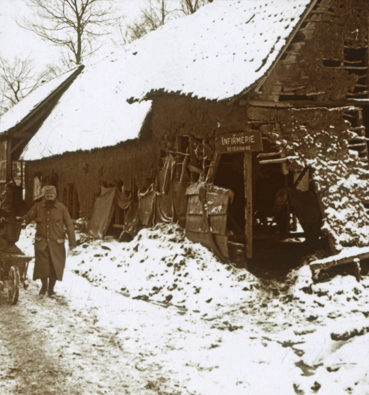 Stazione veterinaria per cavalli, Calonne, nord della Francia, c1914-c1918 da Unbekannt