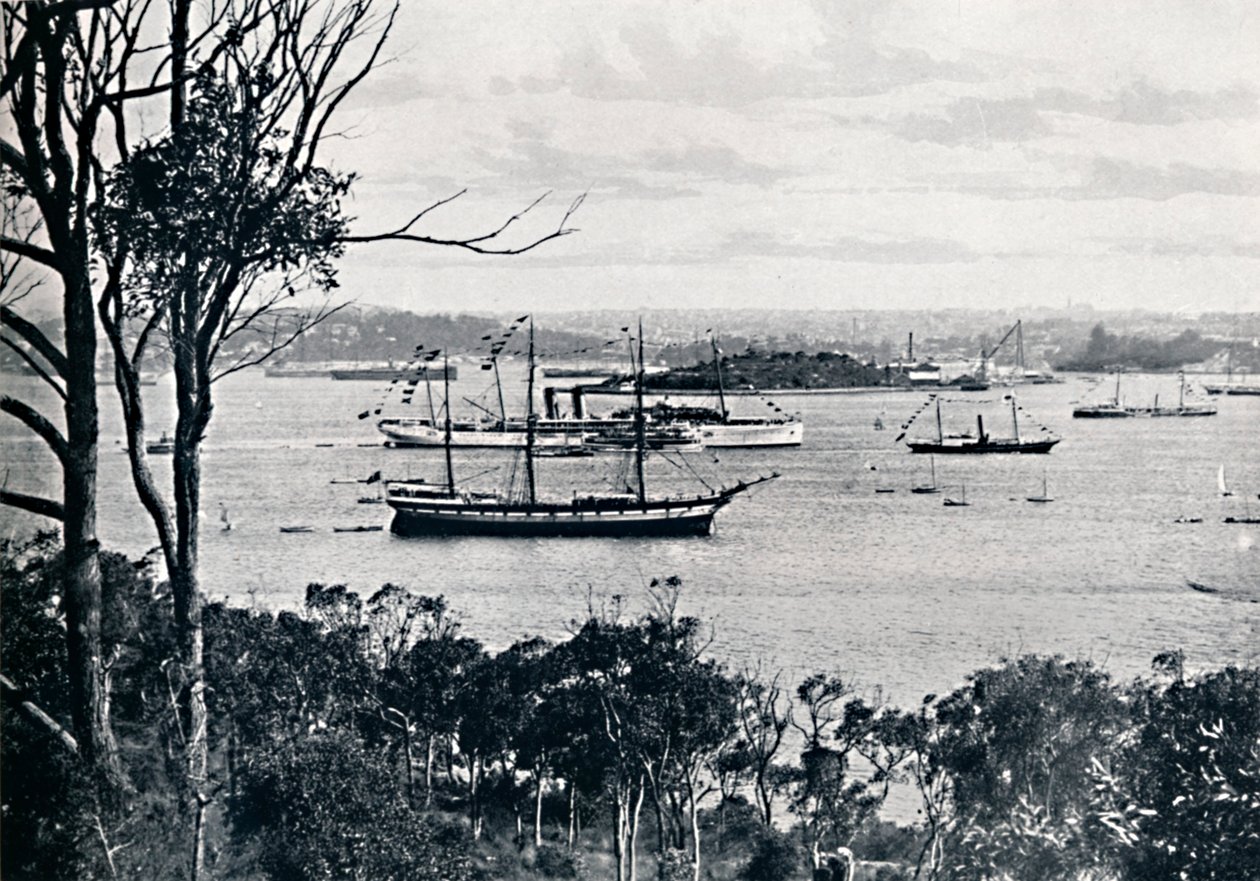 Vista del porto di Sydney dalla North Shore, No. 1 da Unbekannt