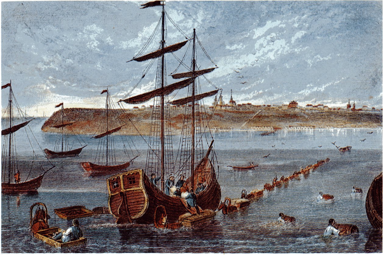 Veduta di Taganrog, c. 1840 da Unbekannt