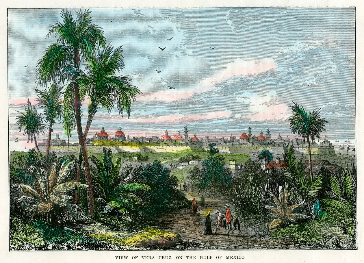 Veduta di Vera Cruz, sul Golfo del Messico, Messico, c1880 da Unbekannt