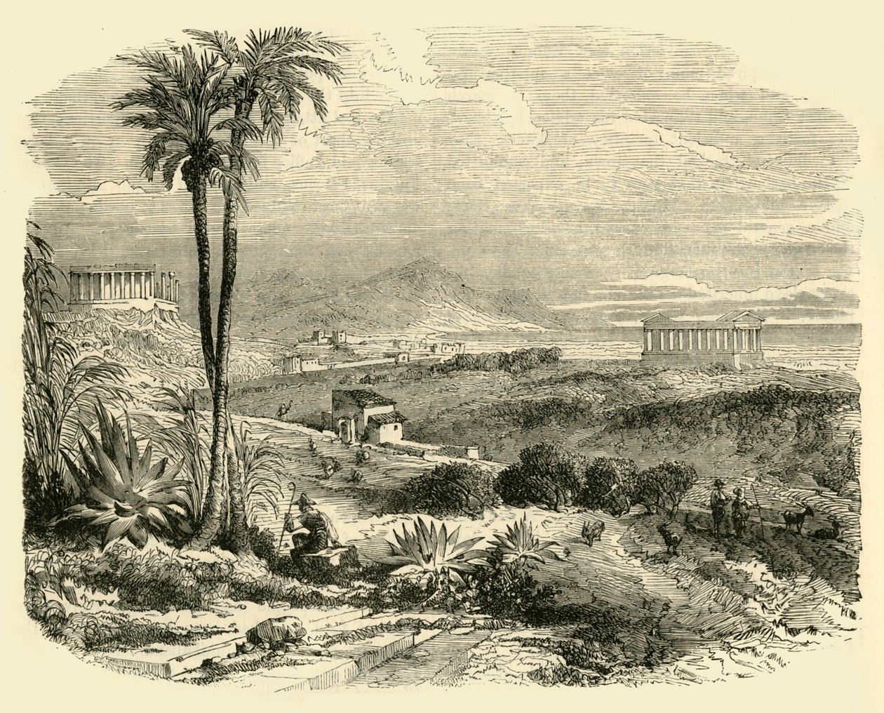 Vista sulla costa della Sicilia, 1890 da Unbekannt