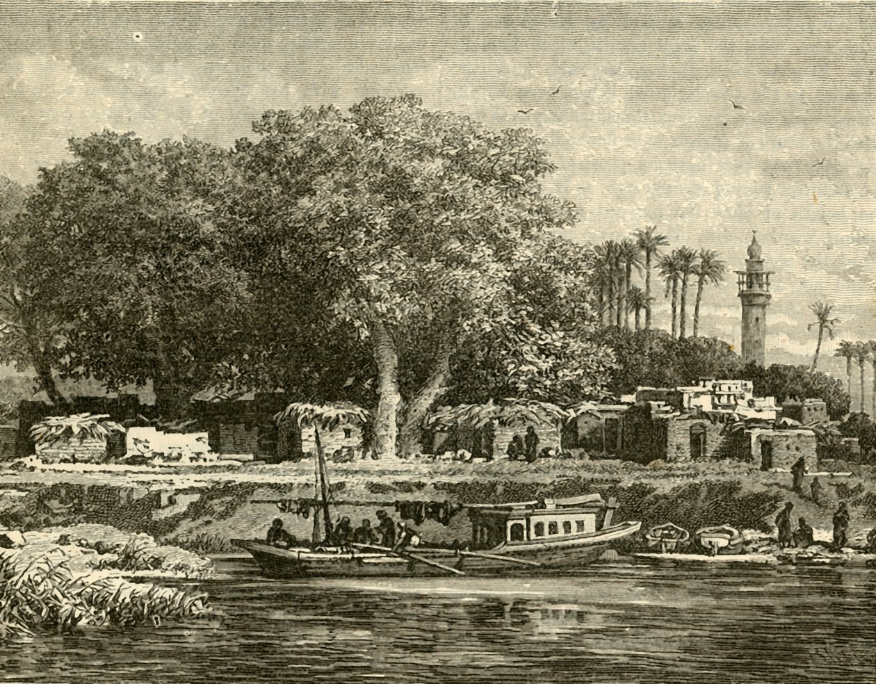 Vista sul delta del Nilo, 1890 da Unbekannt