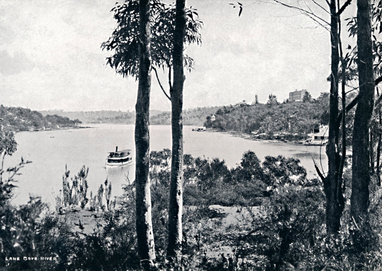 Vista sul fiume Lane Cove, c1900 da Unbekannt