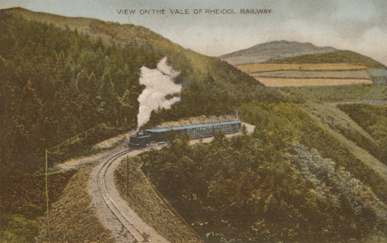 Vista sulla Vale of Rheidol Railway, inizio XX secolo da Unbekannt