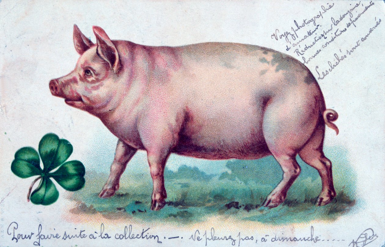 Cartolina francese vintage, c. 1900 da Unbekannt