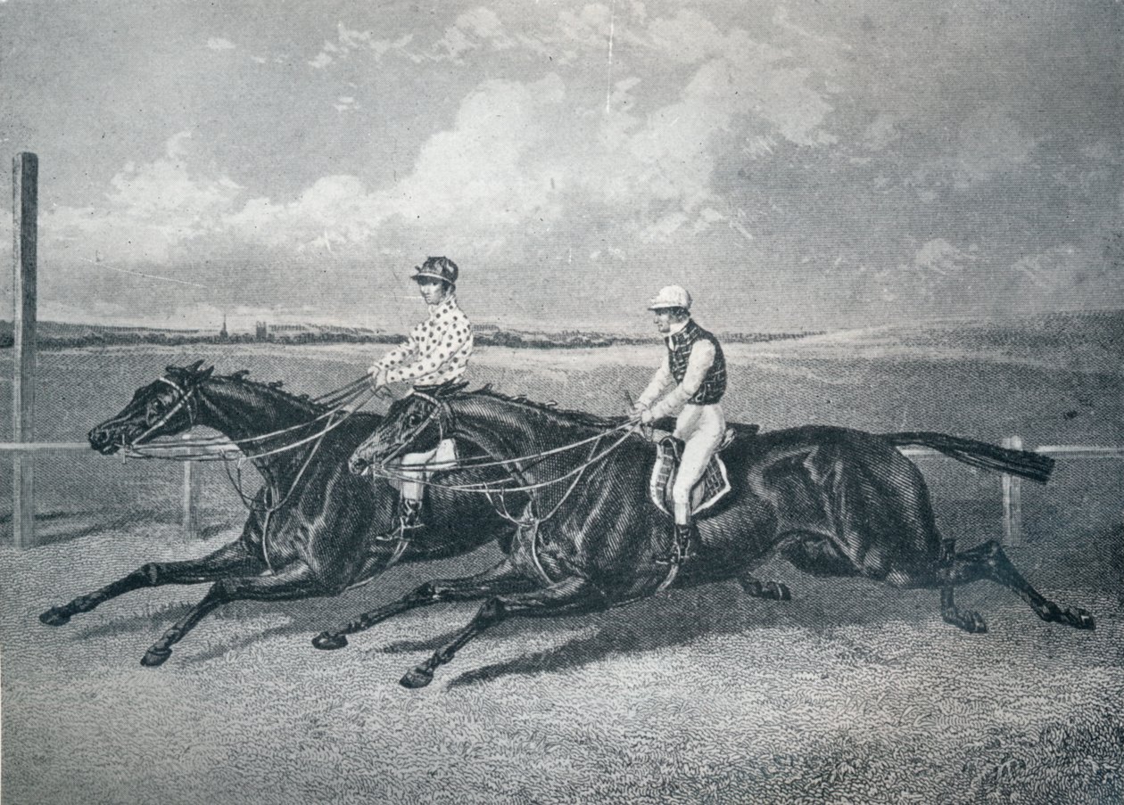Voltigeur e l