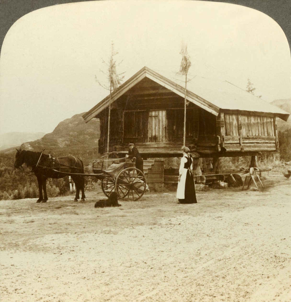 In attesa dei passeggeri sulla strada vicino a Bolkesjo, Norvegia, c1905 da Unbekannt
