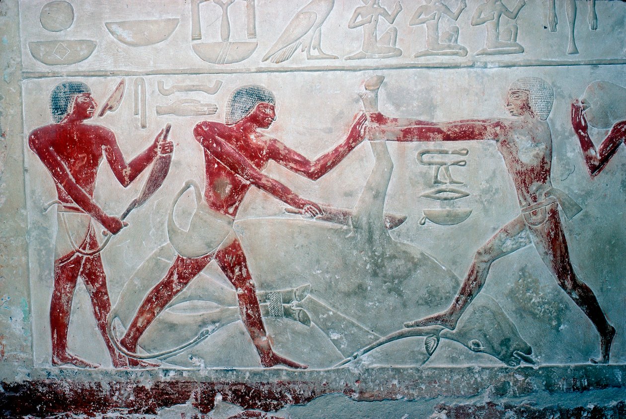 Affresco di 3 macellai che tagliano una carcassa, Tomba di Idut, V dinastia, c2350 a.C. da Unbekannt