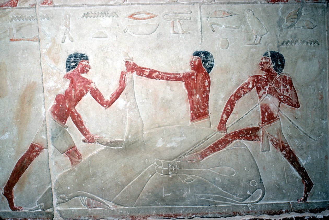 Affresco di 3 macellai che tagliano una carcassa, Tomba di Idut, V dinastia da Unbekannt