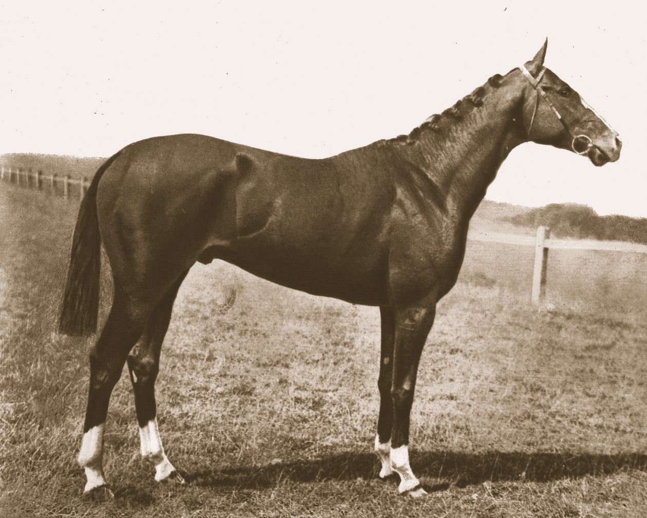 Galletto segnavento, 1911 da Unbekannt