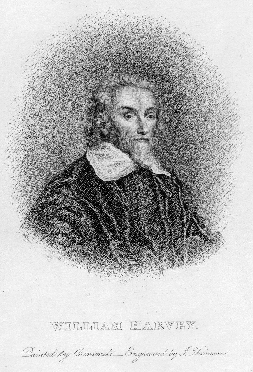 William Harvey 1578-1657 medico inglese, XVII secolo da Unbekannt