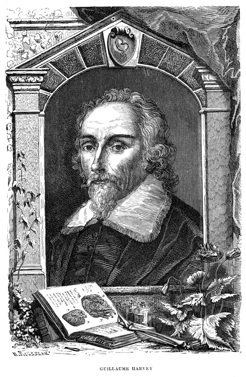 William Harvey 1578-1657 medico inglese, XVII secolo da Unbekannt