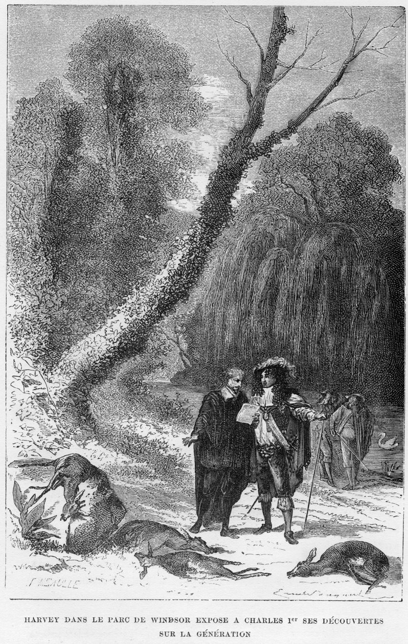 William Harvey, medico inglese, nel Windsor Park, 17° secolo 1870 da Unbekannt