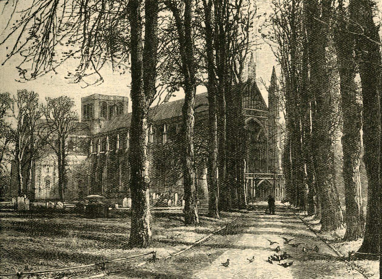 Cattedrale di Winchester, da Nord-Ovest, 1898 da Unbekannt