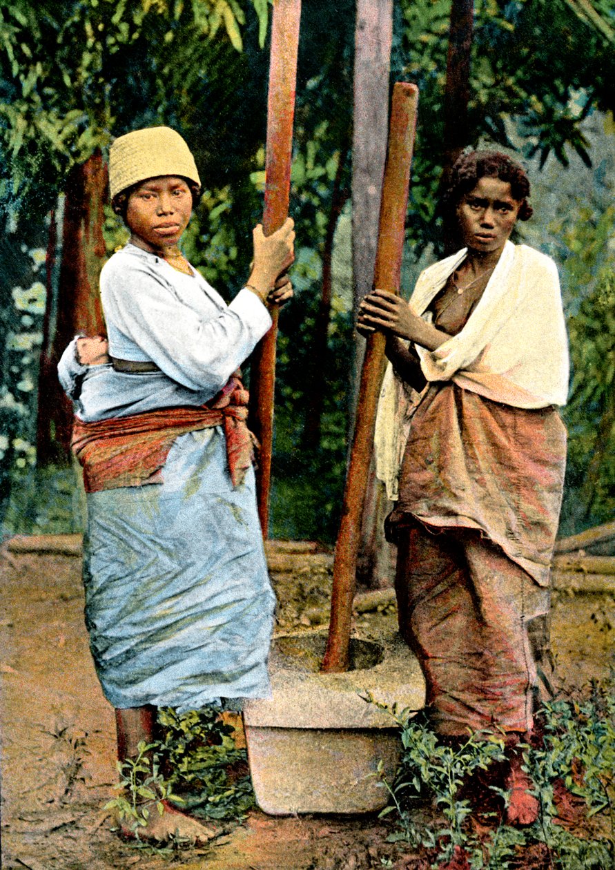 Donne che pestano il riso, Madagascar, fine XIX secolo da Unbekannt