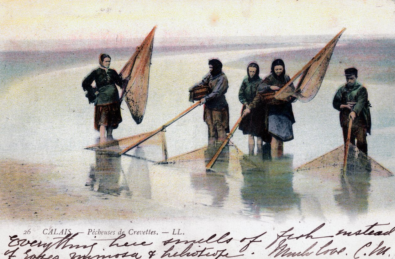 Donne pescatrici di gamberetti, Calais, 1905 da Unbekannt
