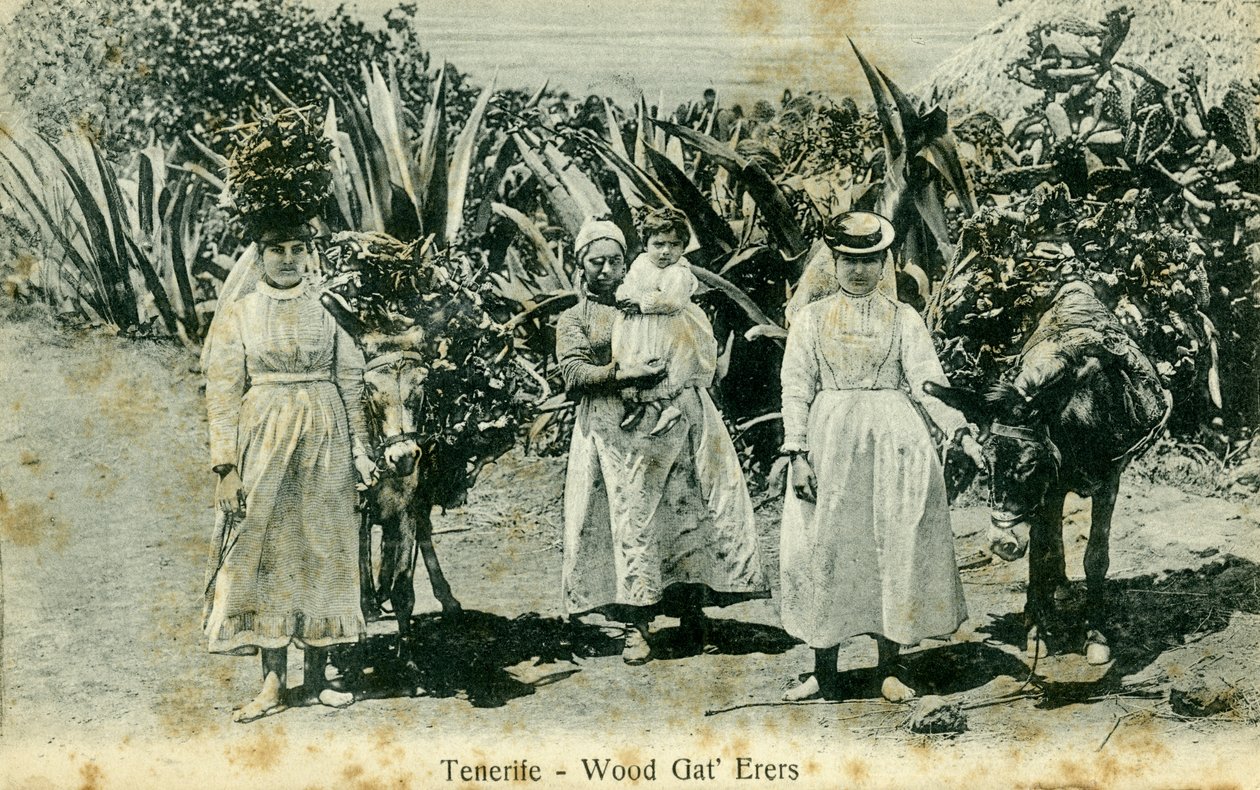 Raccoglitori di legna, Tenerife, Isole Canarie, inizio XX secolo da Unbekannt