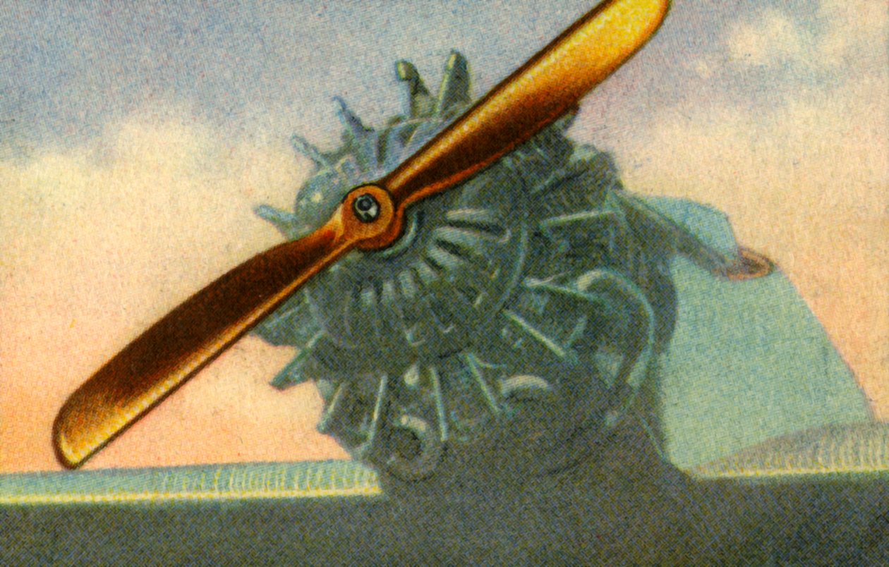 Elica di legno per aerei prodotta dalla Schwarz Propeller-Werk, 1932 da Unbekannt