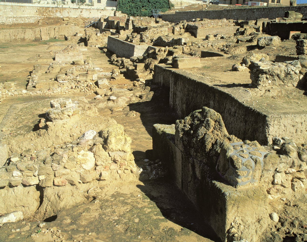 Resti archeologici della colonia greca, VI-V secolo a.C. da Unbekannt Unbekannt
