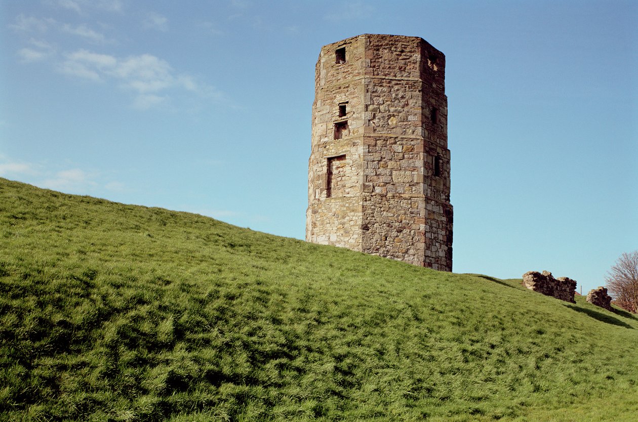 Torre di Cow, Berwick, Northumberland da Unbekannt Unbekannt