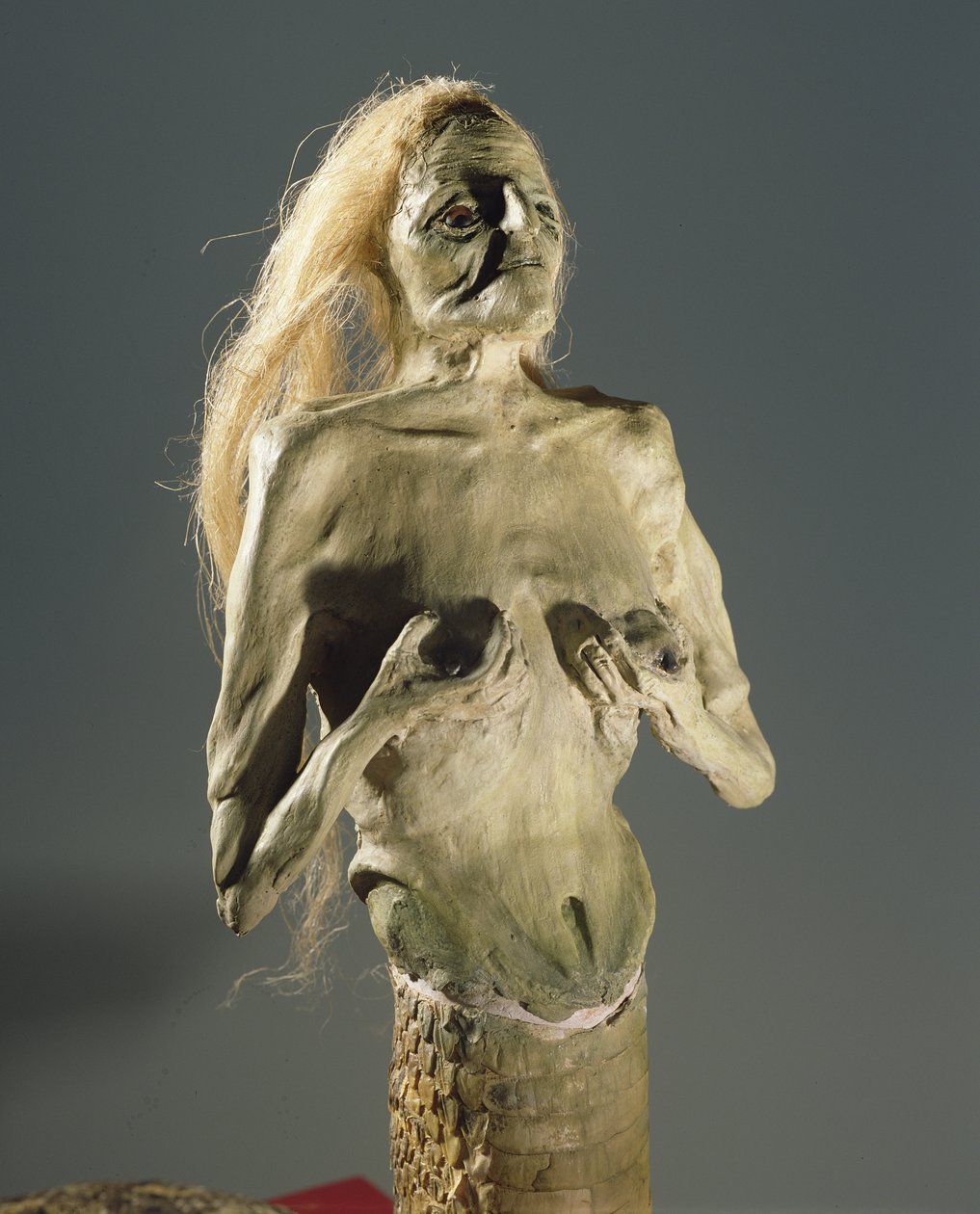 Creatura metà donna, metà serpente, progenie di Melusina, 1900 da Unbekannt Unbekannt