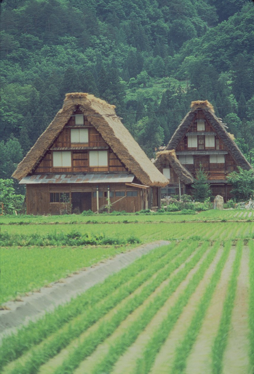 Villaggio di Shirakawa, Giju, Giappone da Unbekannt Unbekannt