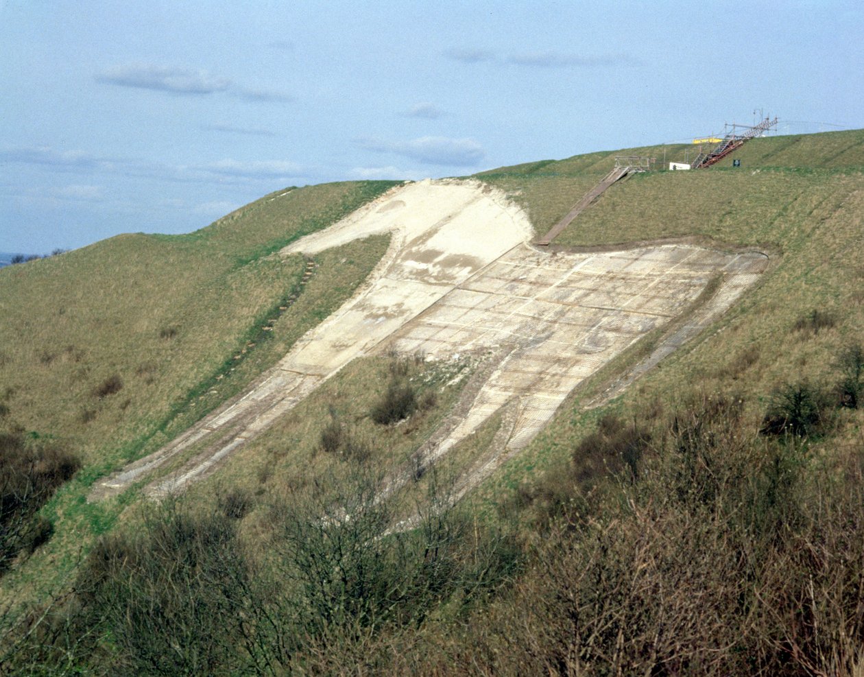 Il cavallo bianco di Westbury da Unbekannt Unbekannt