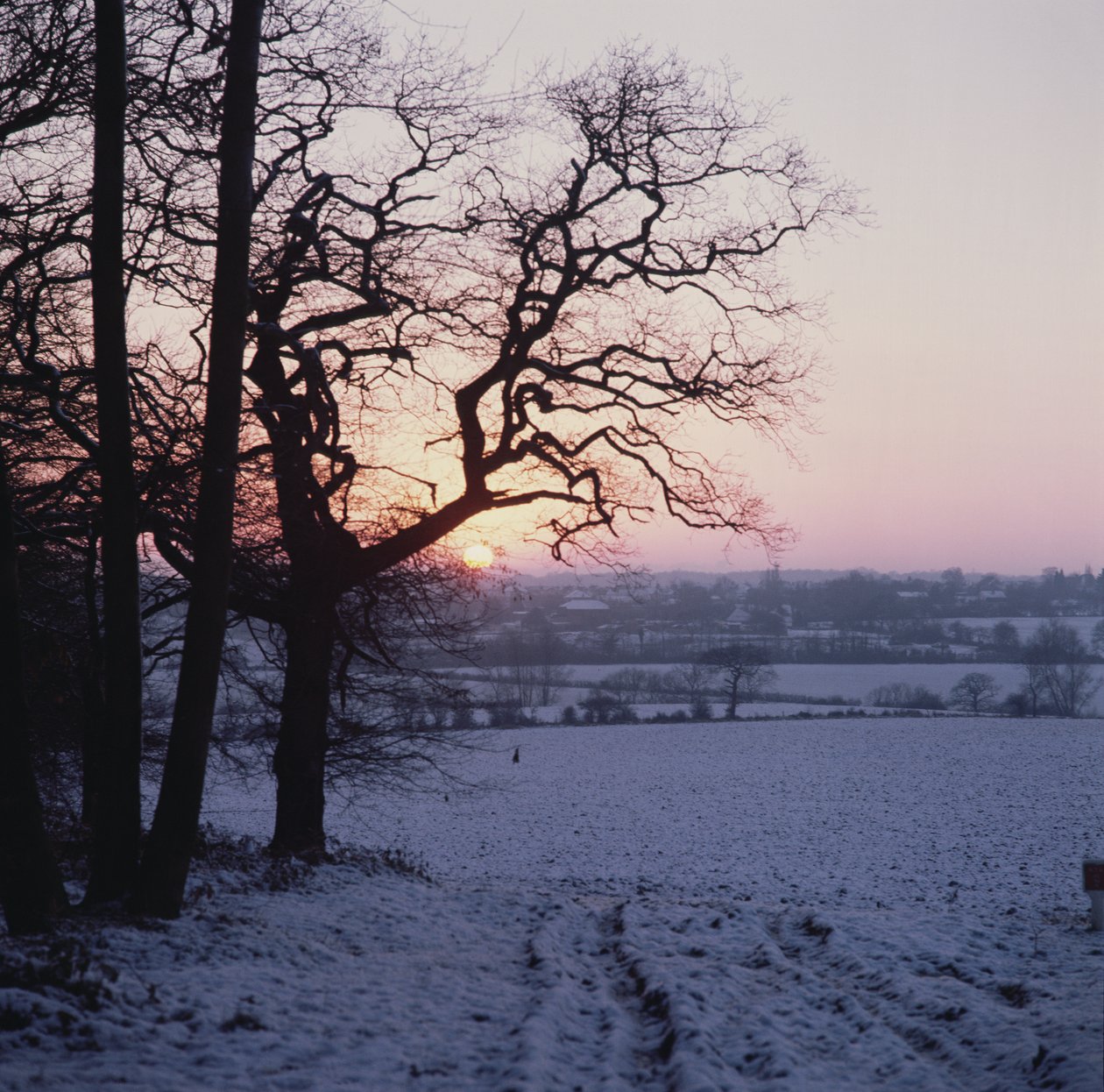 Scena invernale nella neve, Hockley, Essex da Unbekannt Unbekannt