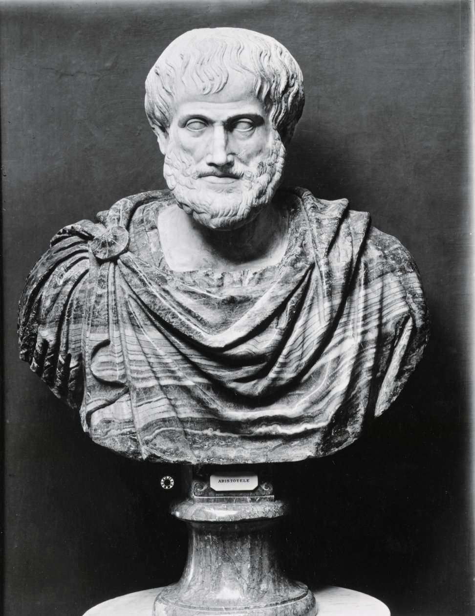 Busto di Aristotele da Unbekannt Unbekannt