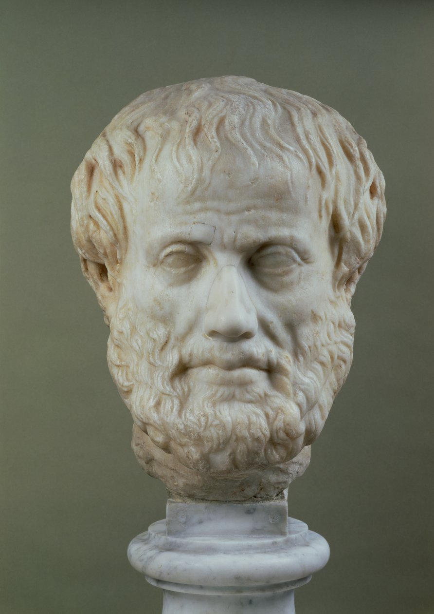Testa di marmo di Aristotele da Unbekannt Unbekannt