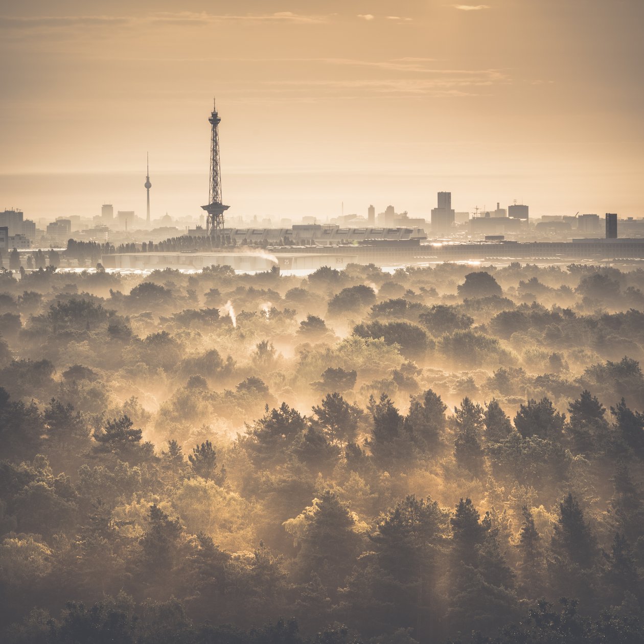Drachenberg - Le due torri, Berlino, 2015 da Unbekannt Unbekannt