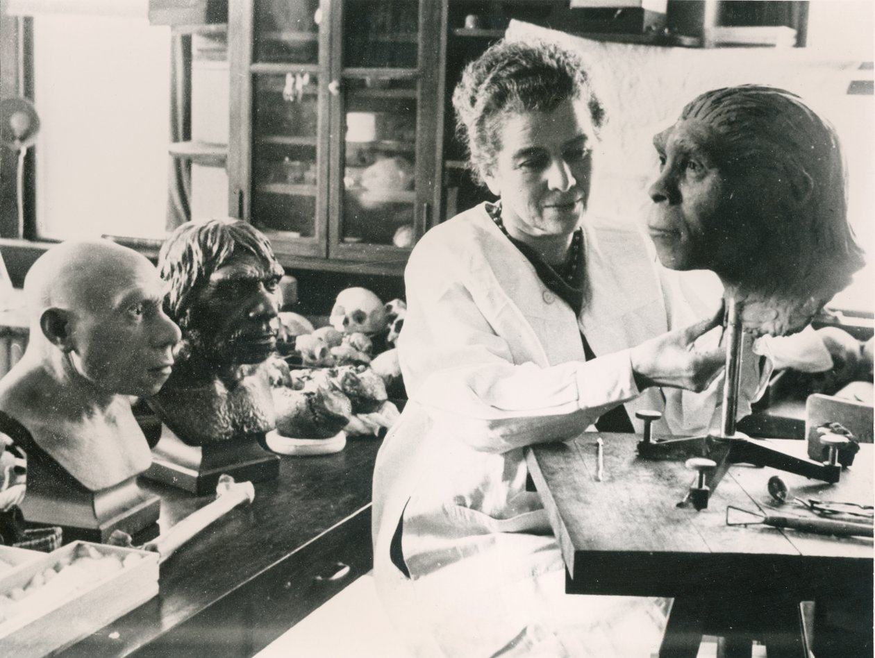Lucile Swan ricrea un modello del cranio dell