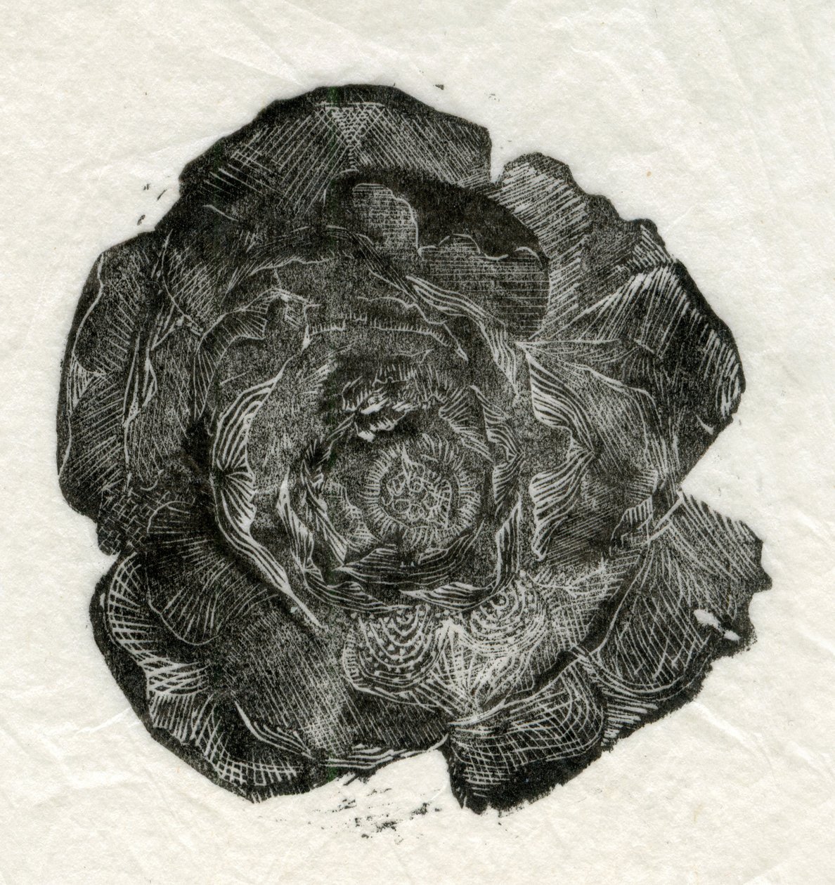 Pino Rosa, 2014 da Unbekannt Unbekannt
