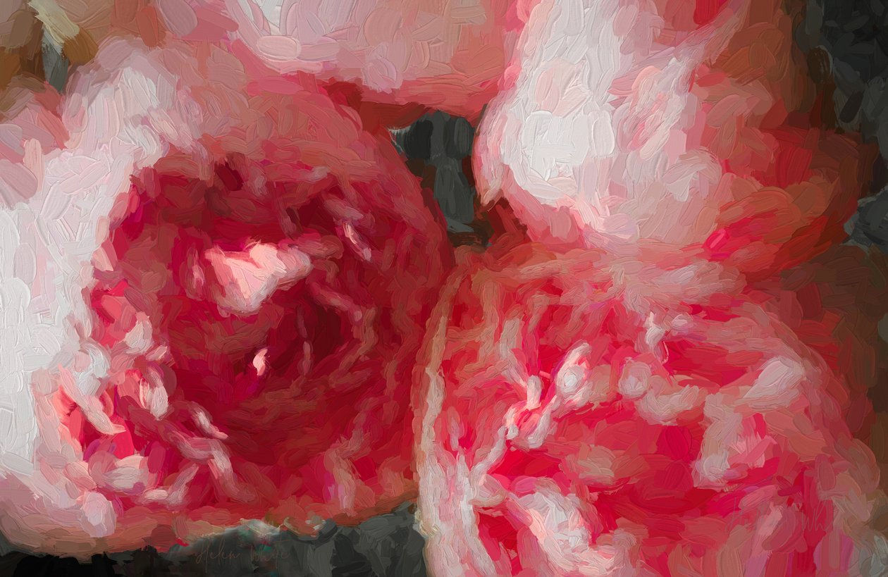 Peonie rosa da Unbekannt Unbekannt
