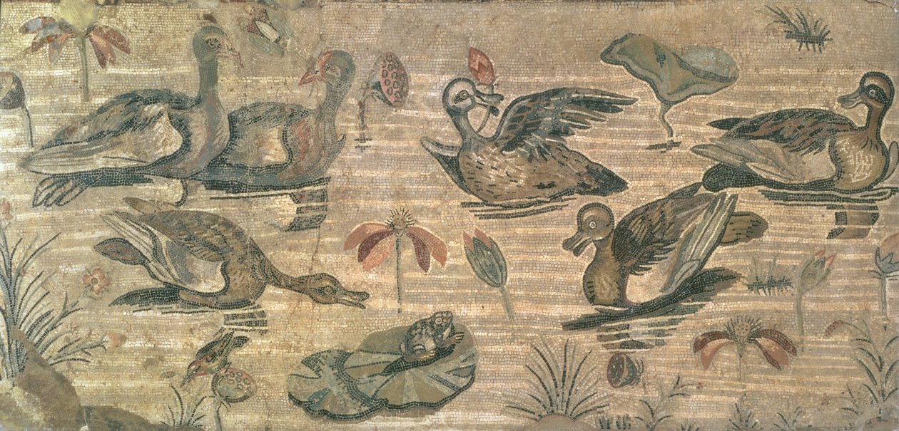 Scena di uccelli acquatici sul Nilo dalla Casa del Fauno, Pompei, II secolo a.C. da Unbekannt Unbekannt