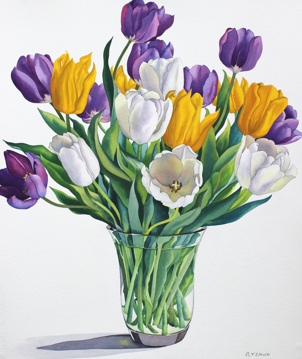 Tulipani in vaso di vetro da Unbekannt Unbekannt