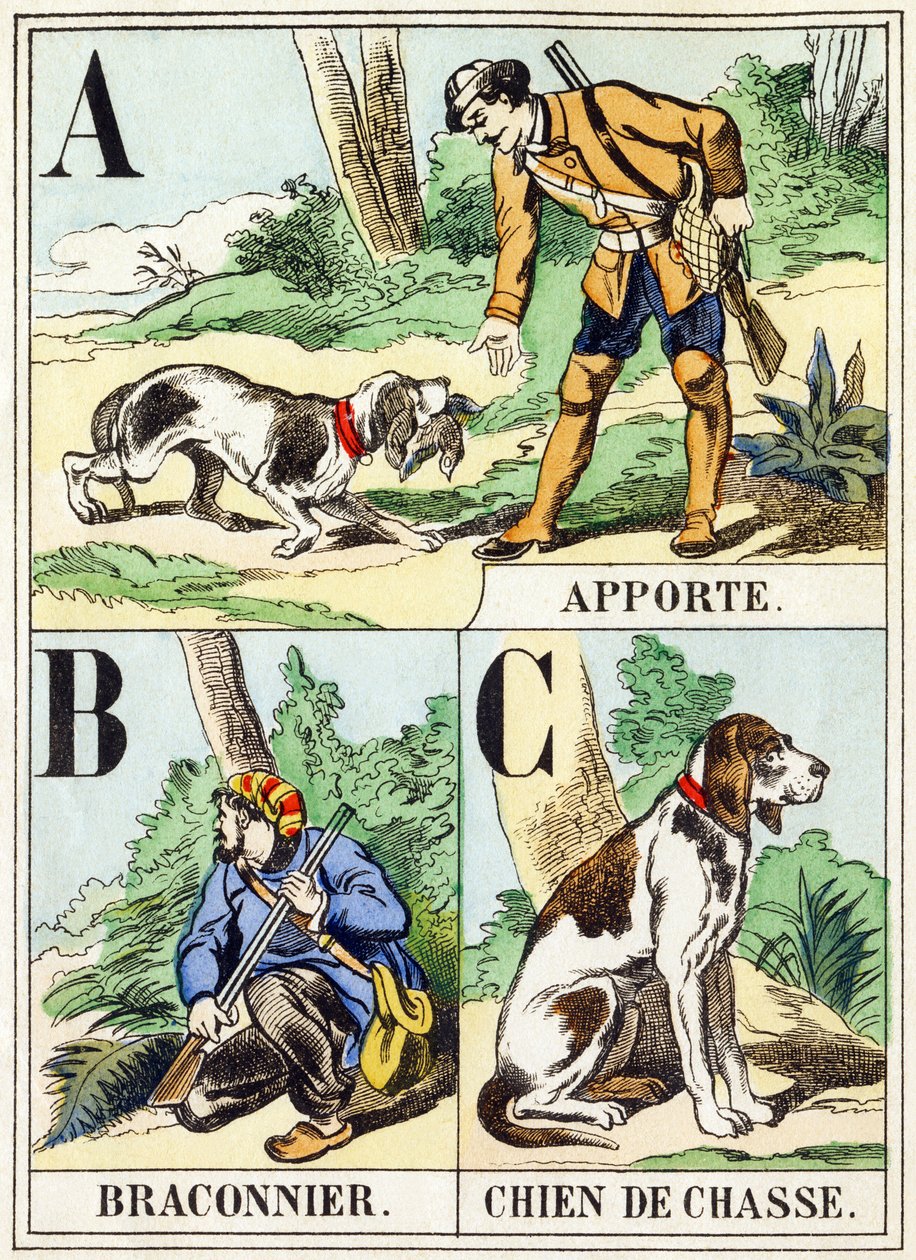 A B C: Porta, Bracconiere, Cane da caccia - L