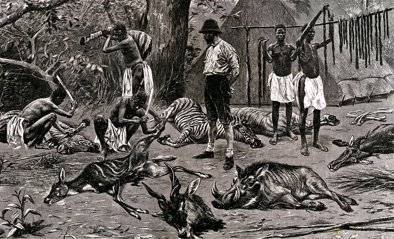 Una grande giornata di caccia! 1900 da Unbekannter Künstler