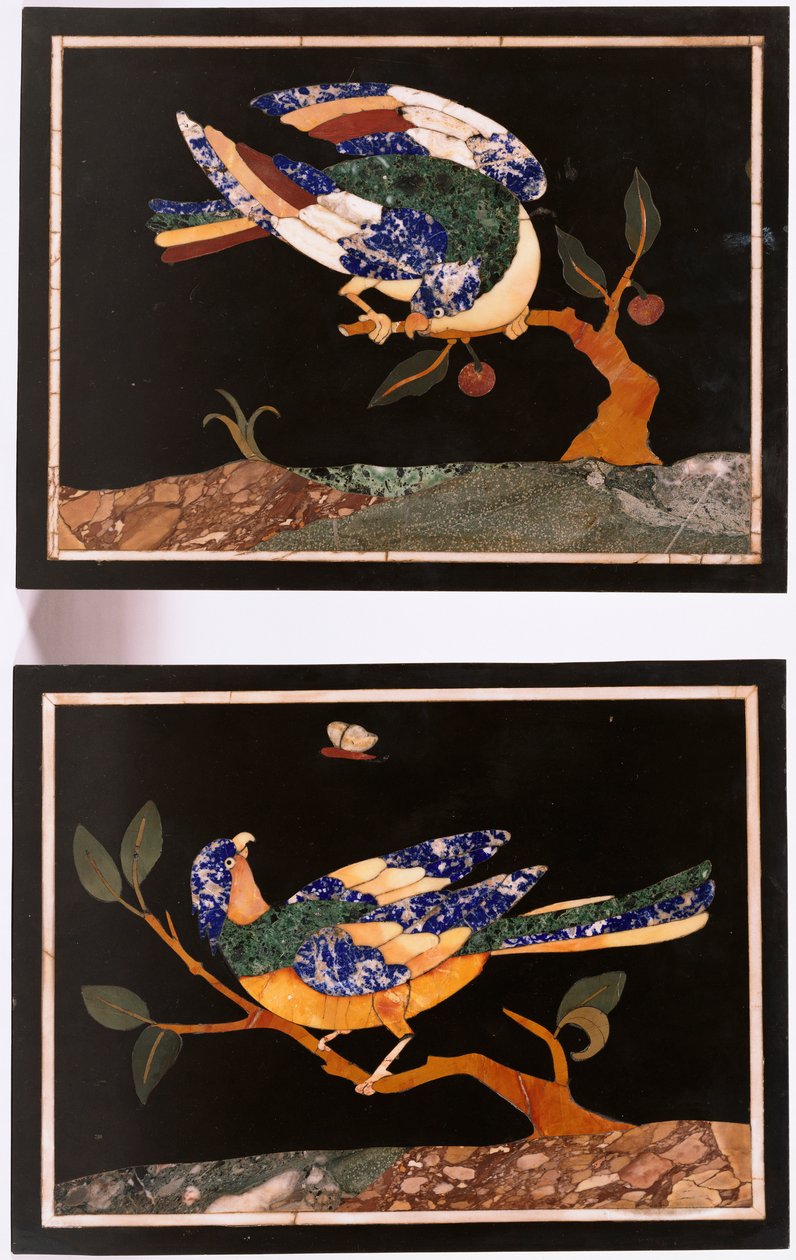 Coppia di pannelli in pietra dura fiorentina raffiguranti uccelli da Unbekannt