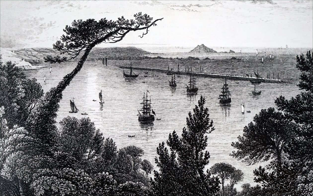 Una vista del porto di Plymouth da Unbekannt