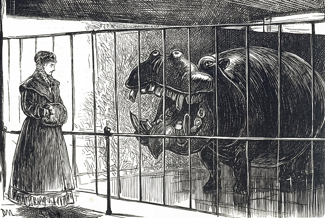Una donna ai Giardini della Società Zoologica di Regent