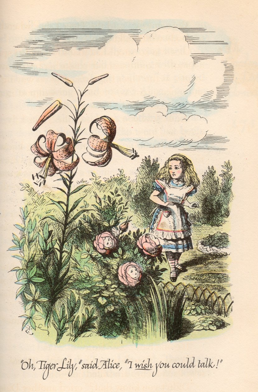 Alice nel Paese delle Meraviglie e Attraverso lo Specchio, di Lewis Carroll, Illustrato da John Tenniel da Unbekannt